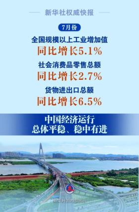 2024年澳门免费资料,行家解答落实解释执行_GY86.317-图7